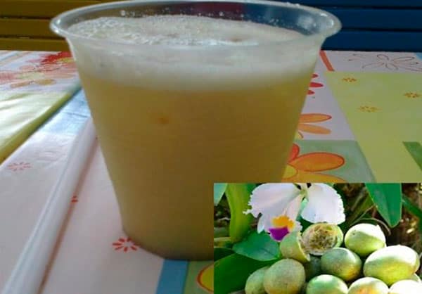 jugo de cholupa