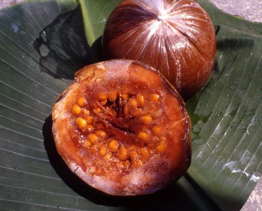 Dulce de Borojó del Chocó