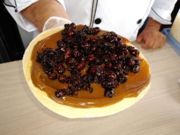 Tortillas amazónicas de yuca con relleno de hormiga culona